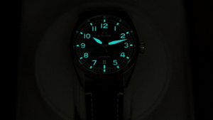 The swiss 2025 watch co